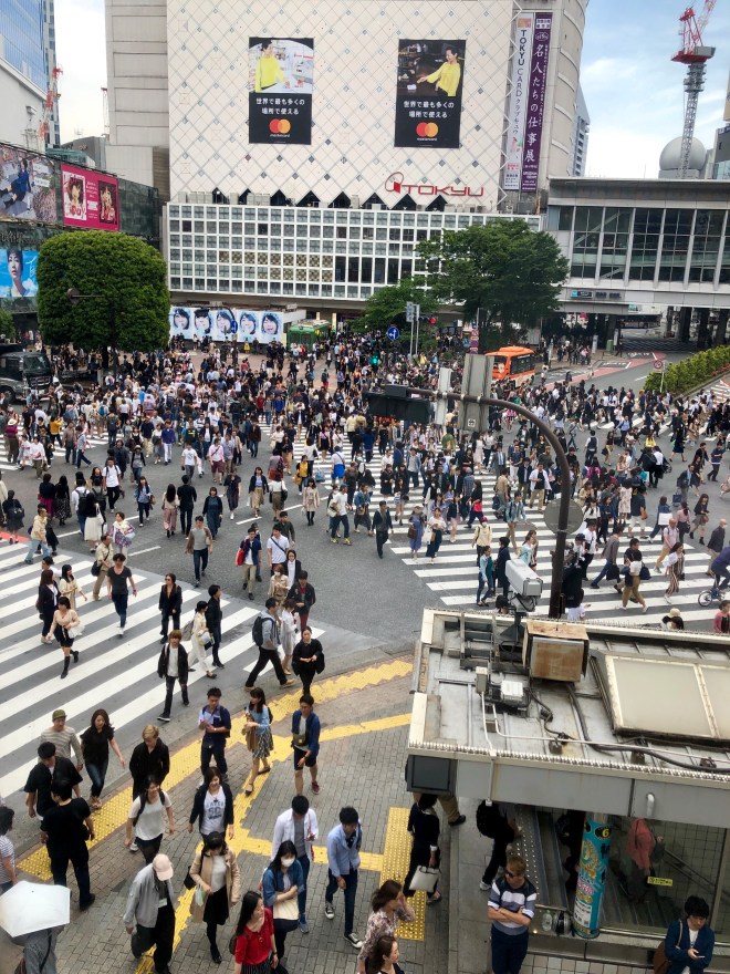 6C486AC7-A4B4-412D-956B-DC27054A3D99