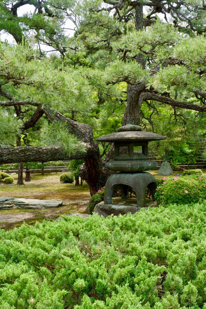 11C0BDA8-32B9-408D-95E4-3528524A15FF