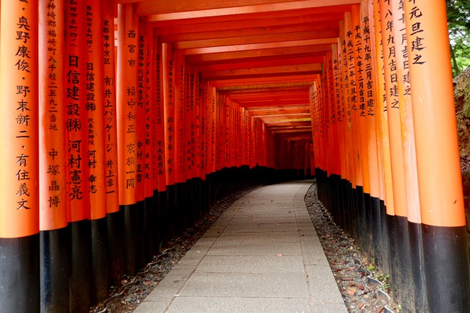 65FD2040-8977-433B-B5A2-CE2C184158A4